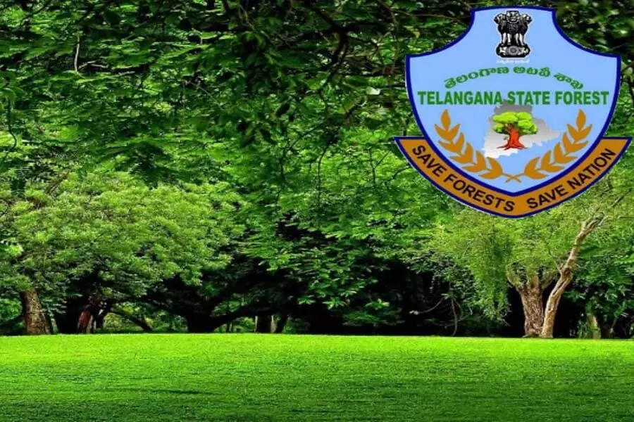 Telangana ने प्रतिपूरक वनरोपण के लिए भूमि की पहचान करने के लिए पैनल बनाया