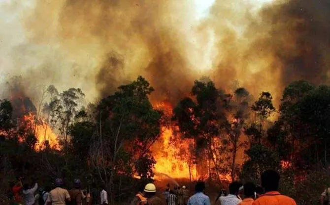 Uttrakhand: आग बुझाने के दौरान 4 वनकर्मियों की मौत