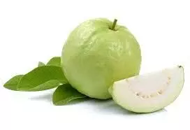 Guava Benefits In Pregnancy: जानिए प्रेगनेंसी में अमरूद खाने से क्या क्या फायदे होते हैं