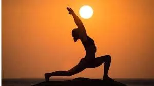 Yoga Day 2024: ये 4 योगासन करने से होंगे सेहत को फायदे