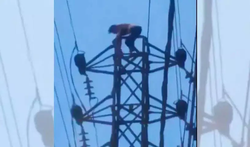 Hyderabad: पत्नी से झगड़े के बाद व्यक्ति हाईटेंशन बिजली के टावर पर चढ़ा