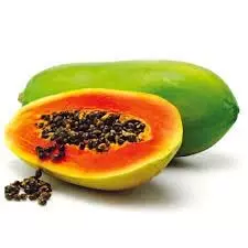 Papaya benefits: अगर जल्दी से करना चाहते है वजन कम तो पपीता के बिच का सेवन करे जानिए कैसे