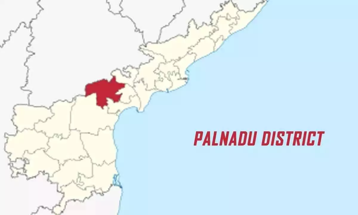 Andhra Pradesh News: कैबिनेट में पलनाडु का कोई प्रतिनिधित्व नहीं