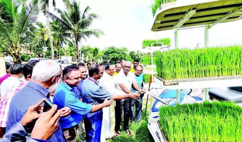 Goa: ‘सामूहिक खेती’ के माध्यम से बेतालबतिम रैयतों का लक्ष्य 3 लाख वर्ग मीटर धान के खेतों की खेती करना