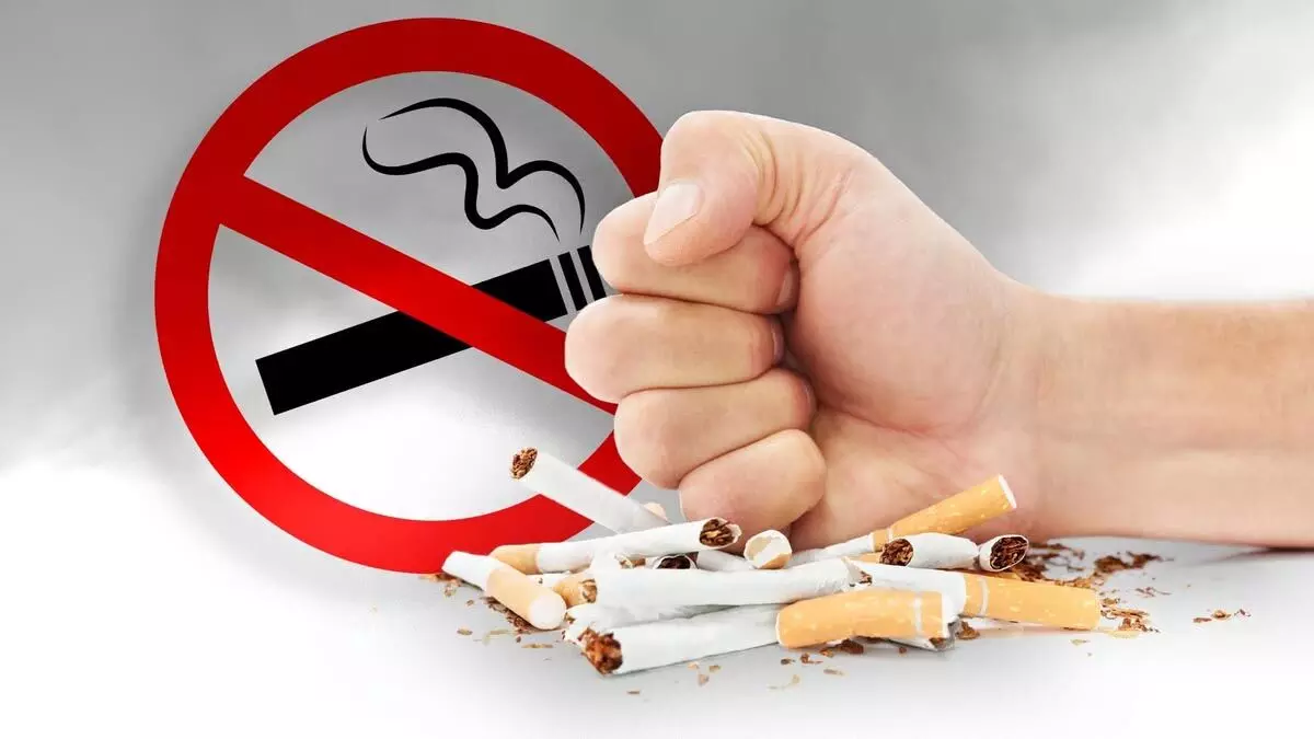 ASSAM NEWS :  तेजपुर विश्वविद्यालय के आसपास तंबाकू के उपयोग पर प्रतिबंध