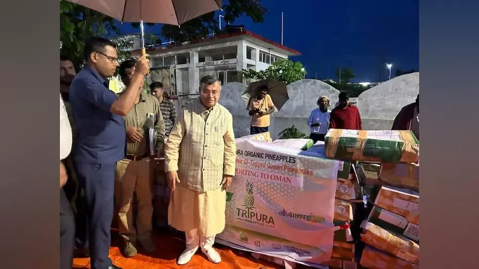 Tripura News: त्रिपुरा रानी अनानास को हॉलैंड निर्यात करेगा, 600 किलोग्राम ओमान भेजा जाएगा
