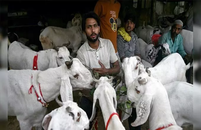 Delhi: की जामा मस्जिद में बकरा मेला की धूम, कीमतें 10 लाख रुपये तक पहुंची