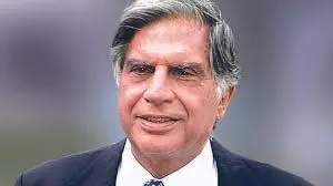 Big Companies of Ratan Tata: रतन टाटा की दिग्गज कंपनियों को लेकर आया बड़ा अपडेट