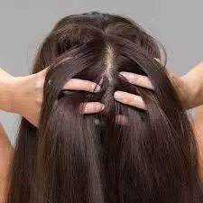 Homemade hair spa: घर पर करें हेयर स्पा बस तैयार करे इन बीजो का क्रीम