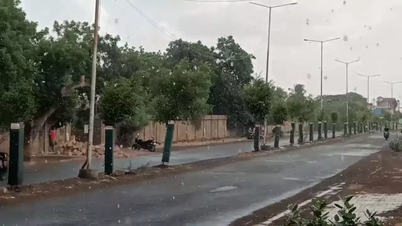 Gujarat Rain :  भुज शहर के मौसम में अचानक बदलाव, नवसारी शहर में बारिश का मौसम