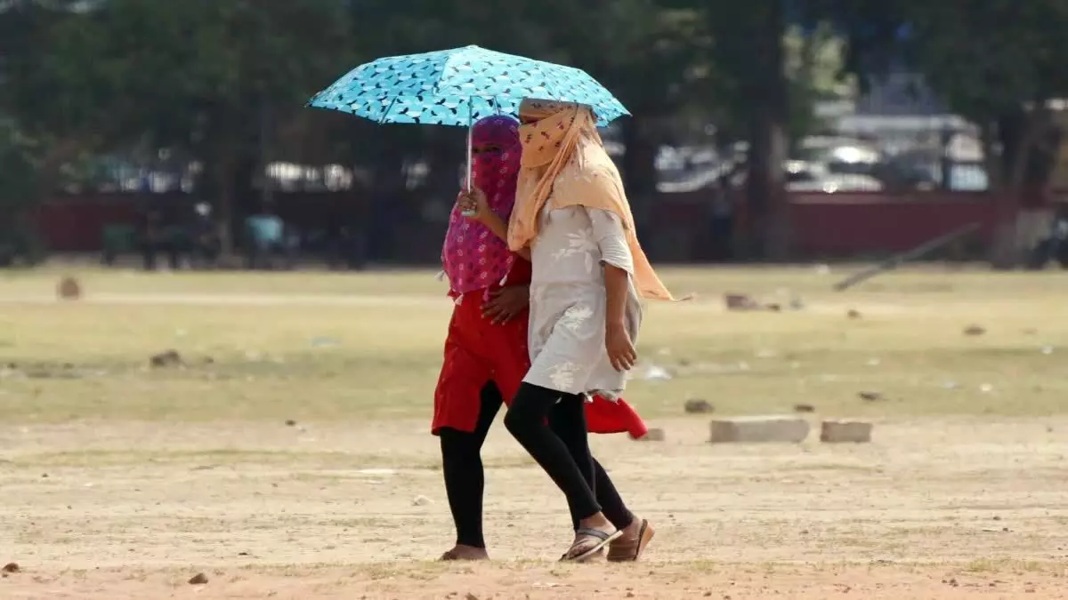 Haryana :  34 डिग्री पहुंचा पारा, अगले 48 घंटे में मानसून की गति तेज