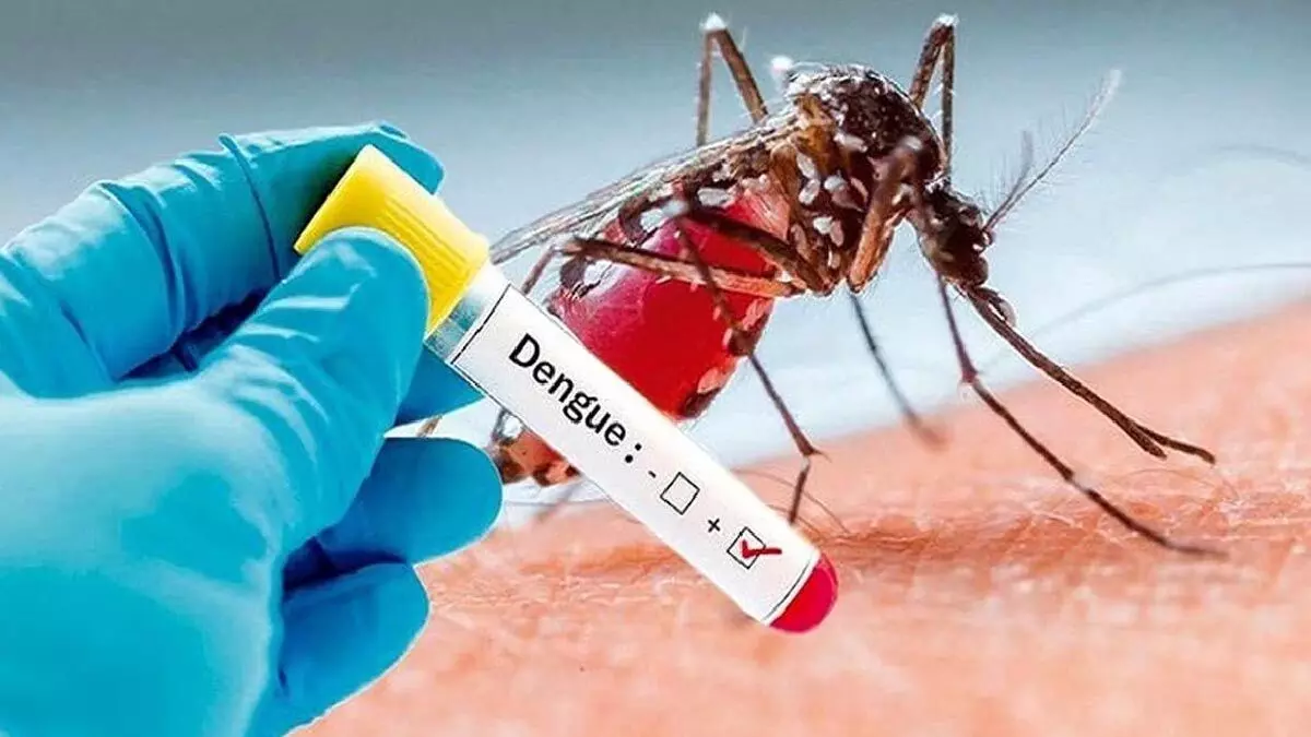 Lucknow : डेंगू जल्द आएगा बचाव का टीका, ट्रायल शुरू