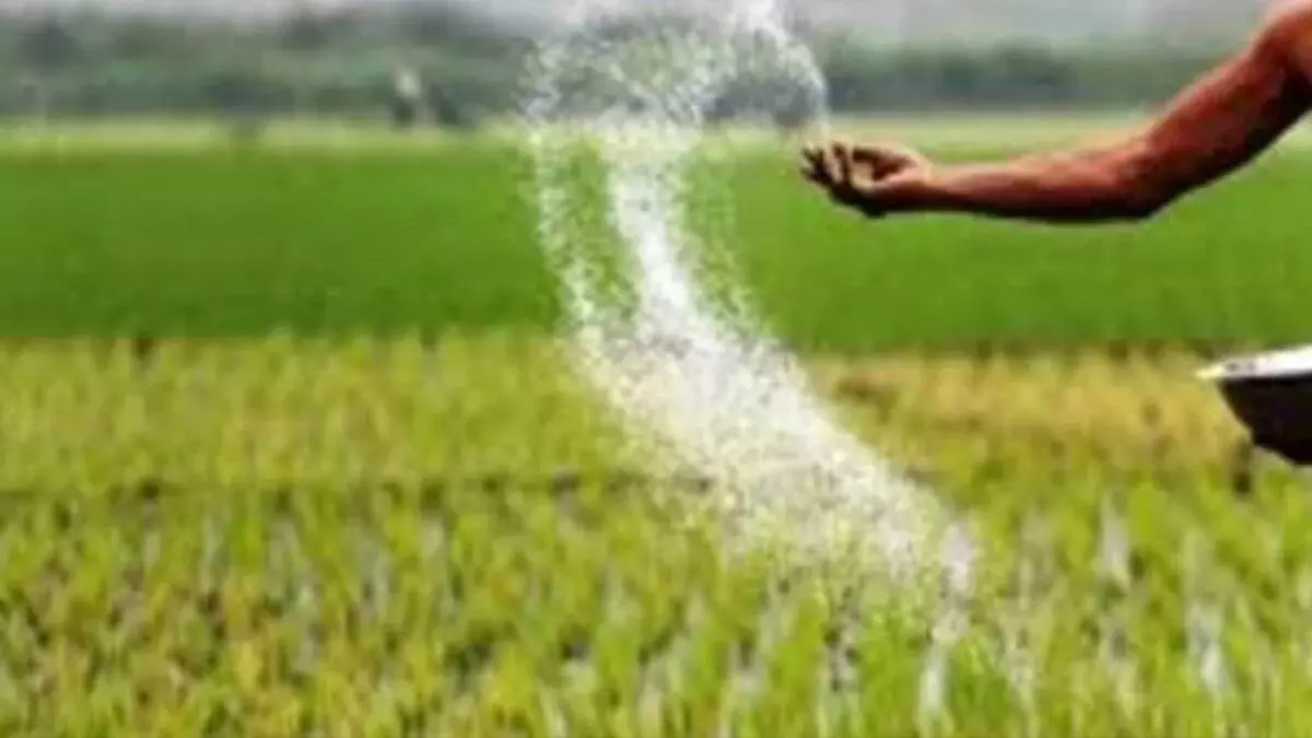Gopalganj: नुदानित बीज का लाभ किसानों के लिए नाकाफी