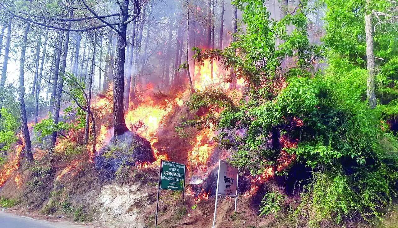 Pathankot NH पर आग से दहका जंगल