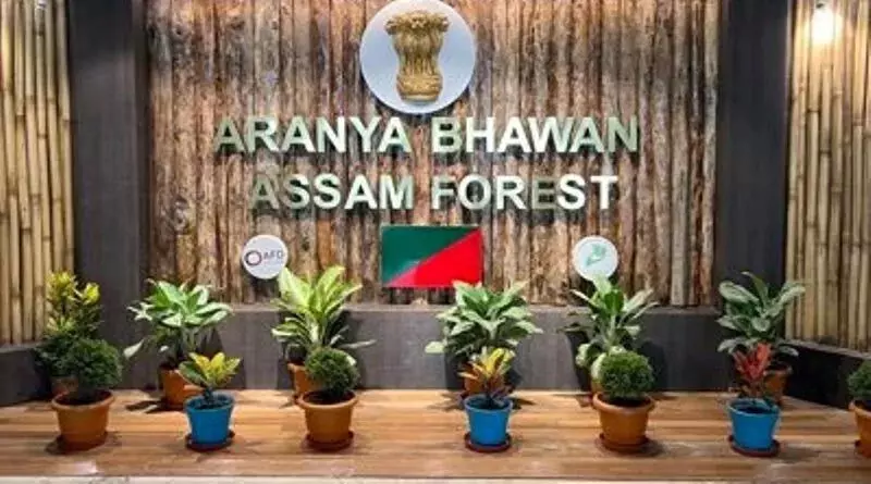 ASSAM NEWS : असम वन विभाग पर अवैध पदोन्नति के आरोप