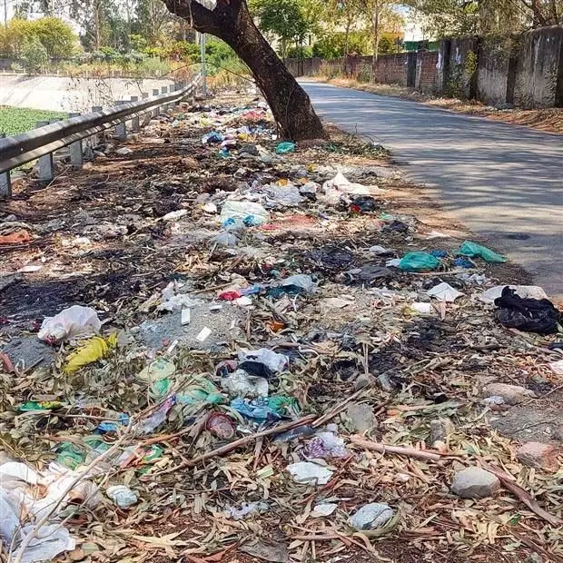 Punjab: राष्ट्रीय हरित अधिकरण ने खराब कचरा प्रबंधन के लिए बटाला नगर निगम को फटकार लगाई