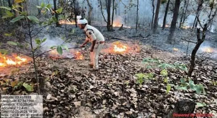 Fire incidents से जंगलों को हो रही क्षति कम करने लगातार प्रयास जारी