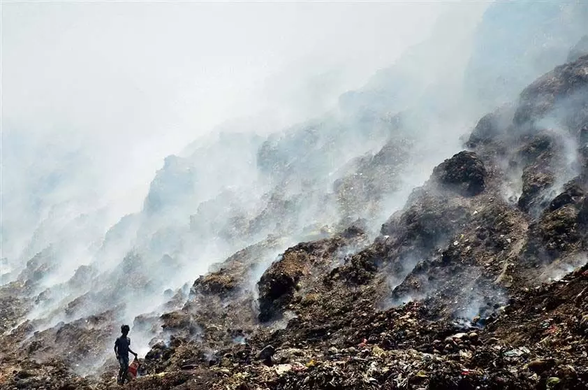 Ludhiana: नगर निगम के ताजपुर रोड लैंडफिल में लगी आग