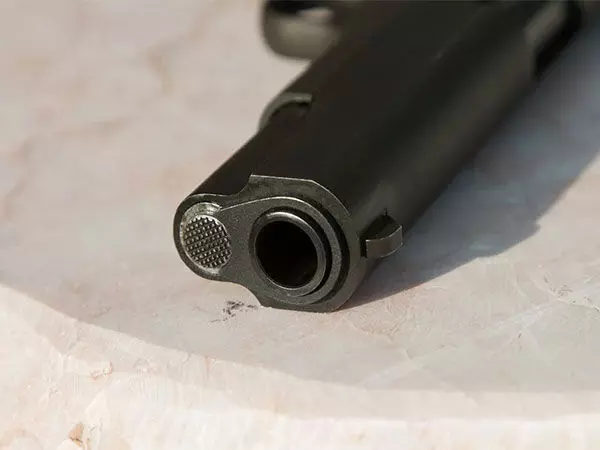 Kathua में आतंकवादी हमलों के बीच भाजपा कार्यकर्ताओं ने बंदूक लाइसेंस जारी करने और नवीनीकरण की मांग की