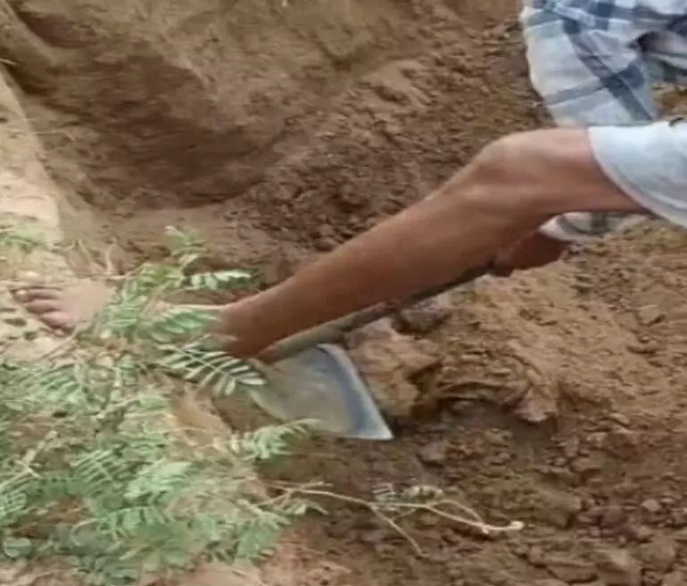CG Shochking News: युवती की हुई संदिग्ध मौत, पुलिस ने कब्र खोदकर निकाले शव के अंग