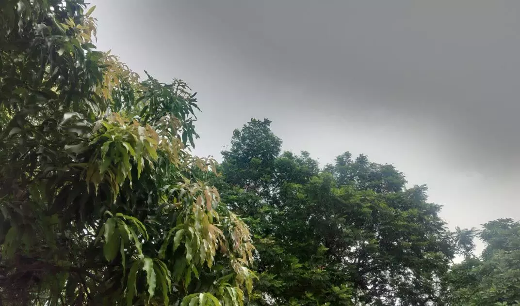 Chhattisgarh: रायपुर में भारी बारिश का अलर्ट