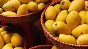 MANGO DISH LIST: जानिए आम की कौन से डिश की लिस्ट में ,मिला पहला स्थान