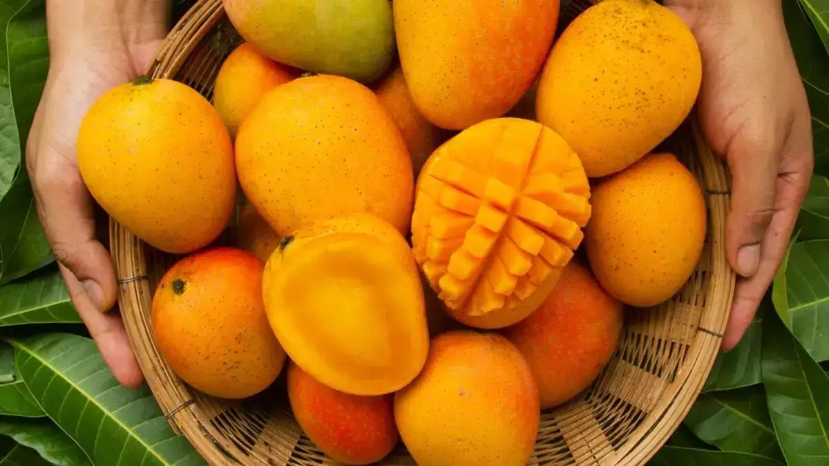 Mango side effects : क्या आम खाने से बढ़ जाता है यूरिक एसिड