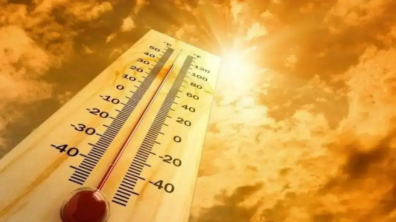 Hisar: अधिकांश जिलों में रात का तापमान 30 डिग्री सेल्सियस के पार पहुंचा