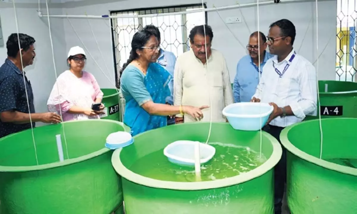 Odisha News: केंद्रीय मंत्री बघेल ने कृषक समुदाय को तकनीक हस्तांतरित करने पर जोर दिया