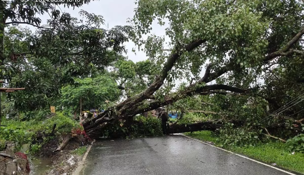 Assam news :  मूसलाधार बारिश के कारण पाठशाला के बजाली में जलभराव, यातायात बाधित