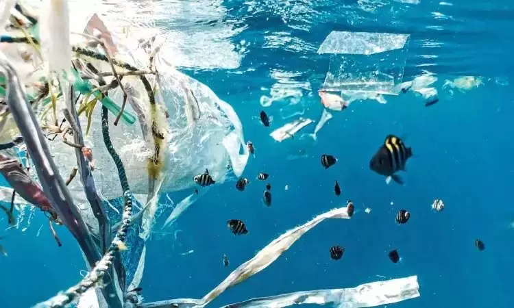 CHENNAI: मन्नार की खाड़ी में पाया जाने वाला लगभग 50 प्रतिशत समुद्री कूड़ा प्लास्टिक
