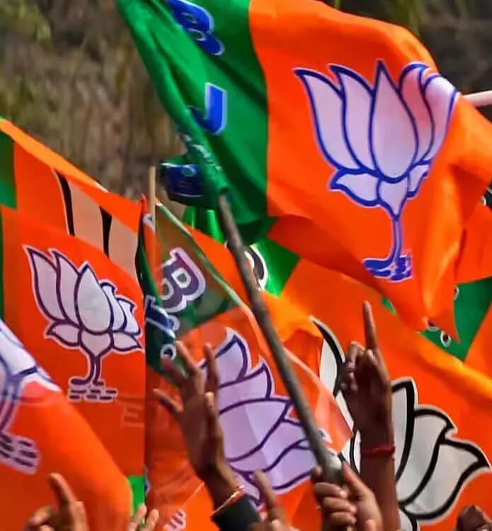 BJP ने विधानसभा और प्रदेश चुनाव के लिए प्रभारी एवं सह-प्रभारियों की नियुक्ति