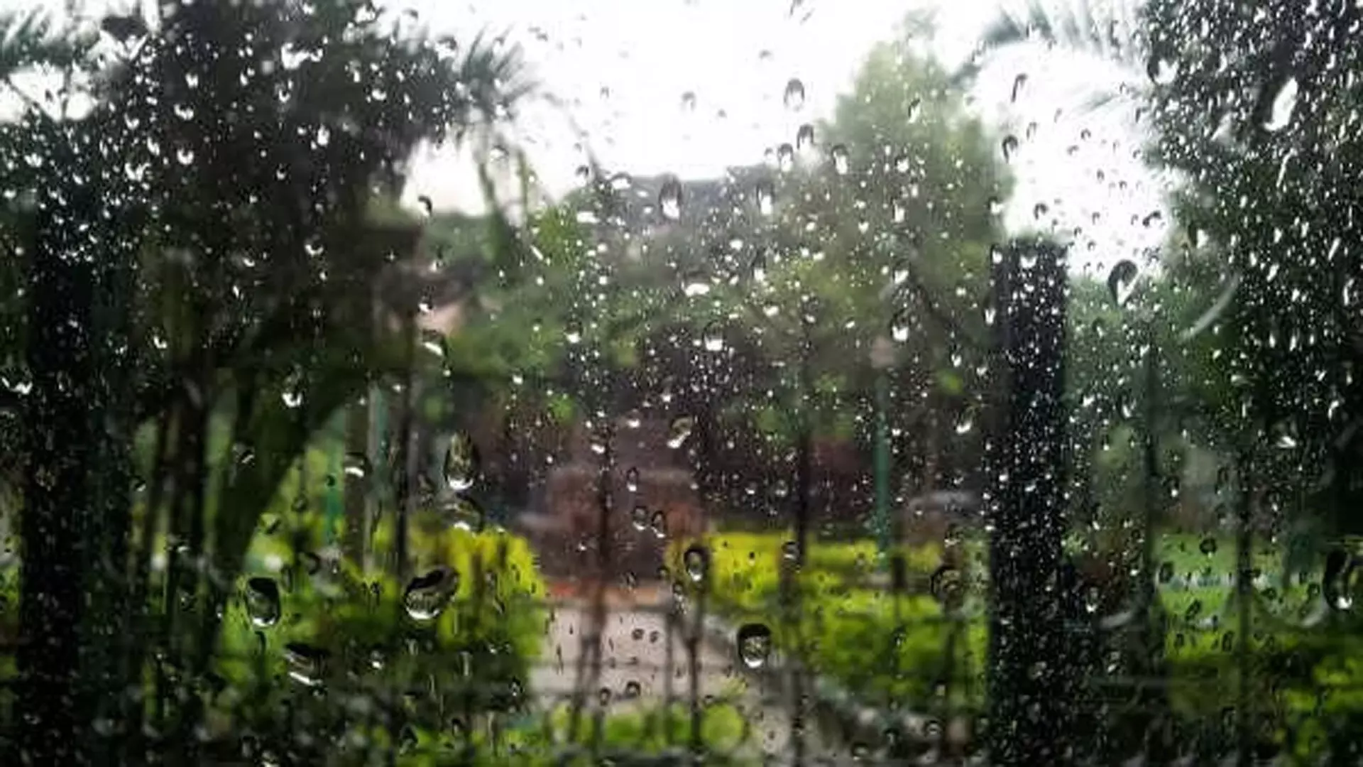 Weather in Bengaluru: शहर में सुहावना दिन रहने की संभावना