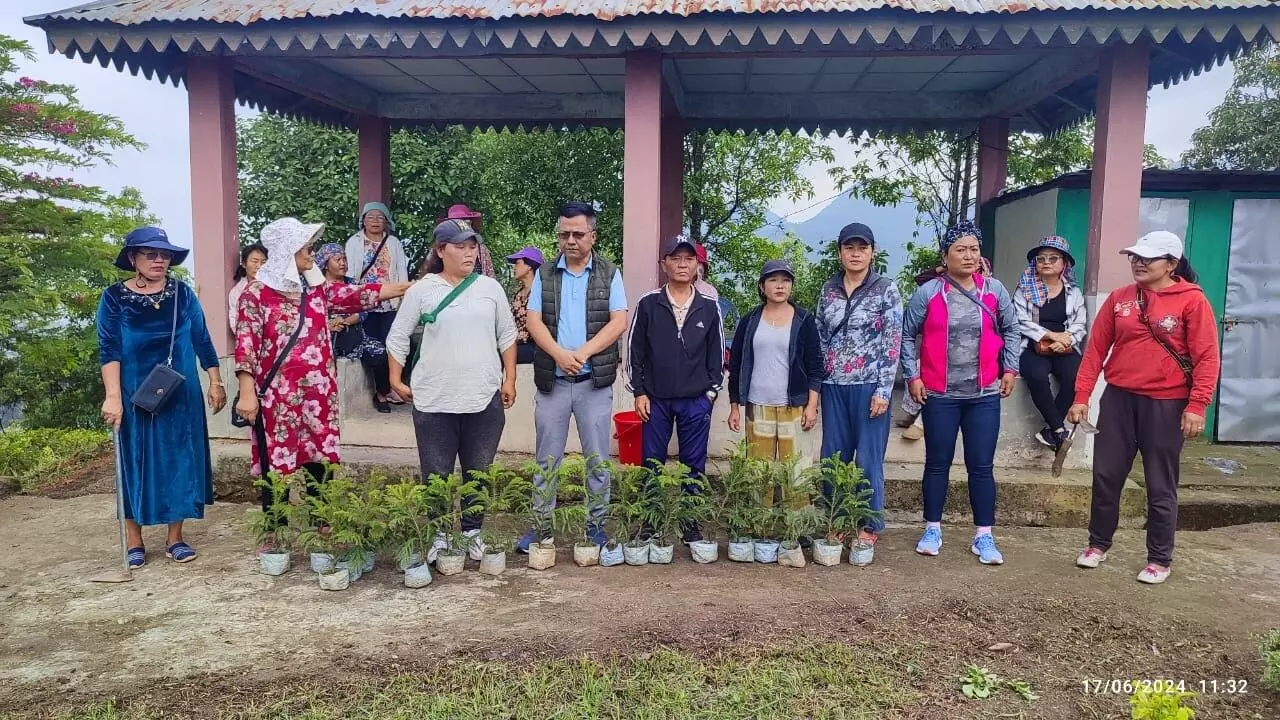 Mizoram News: केएफए सदस्यों के नेतृत्व में ख्वाज़ॉल बावरहैप ने पेड़ लगाए