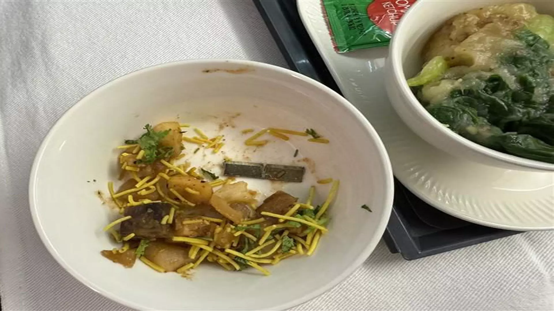 Air India के यात्री के भोजन में ब्लेड जैसी धातु मिली, एयरलाइन ने दी प्रतिक्रिया