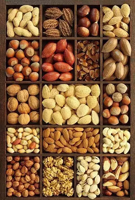 Nuts Benefits: ताजगी और पोषण के लिए जरूर खाएं ये 6 नट्स, होंगे बहुत फायदे