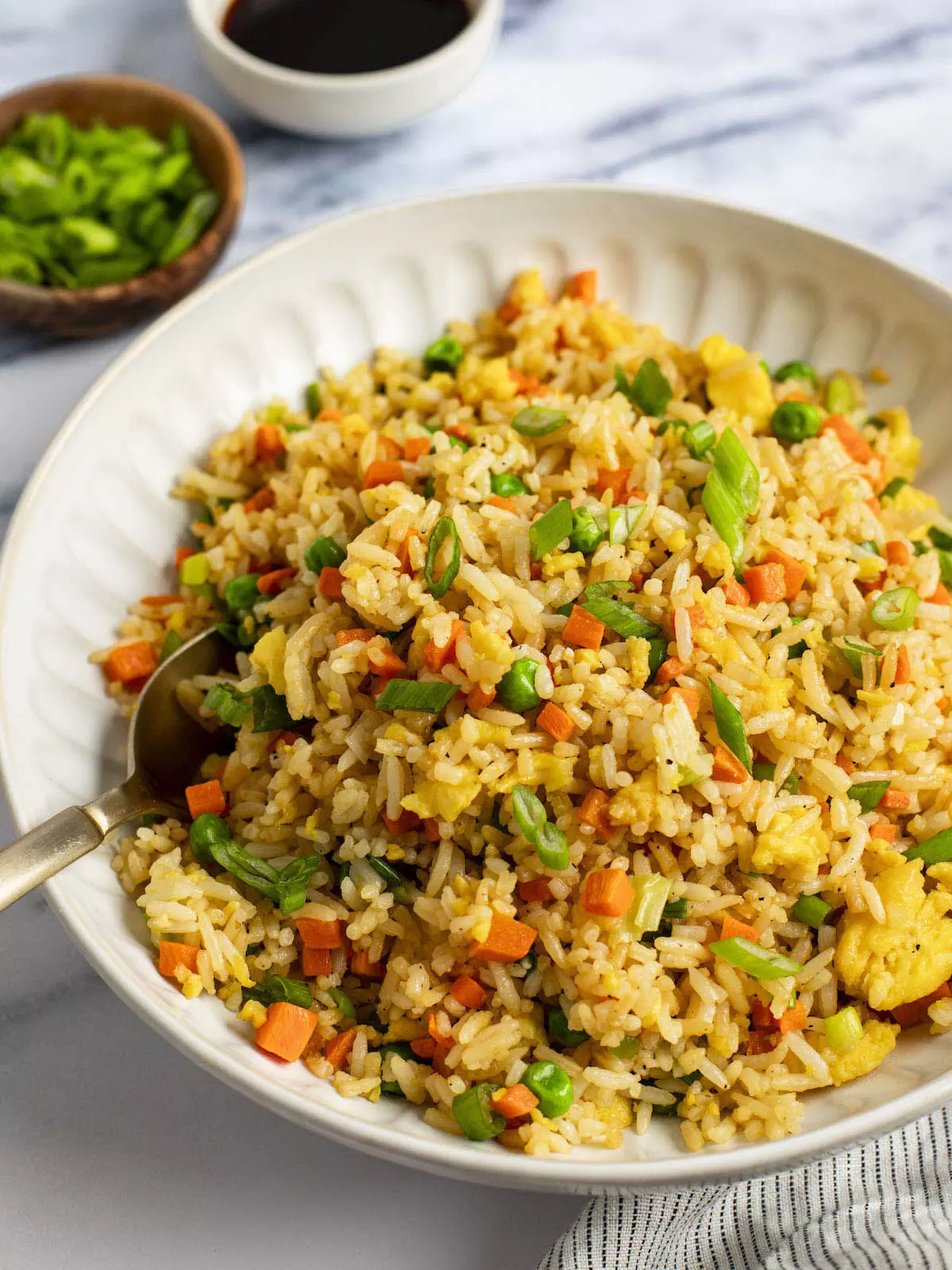 MARKET STYLE FRIED RICE RECIPE: बनाइये टेस्टी मार्किट जैसी फ्राइड राइस घर पर इस रेसिपी से