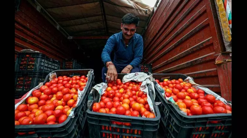 मदनपल्ले बाजार में टमाटर की कीमतें 80 रुपये प्रति किलोग्राम तक पहुंची