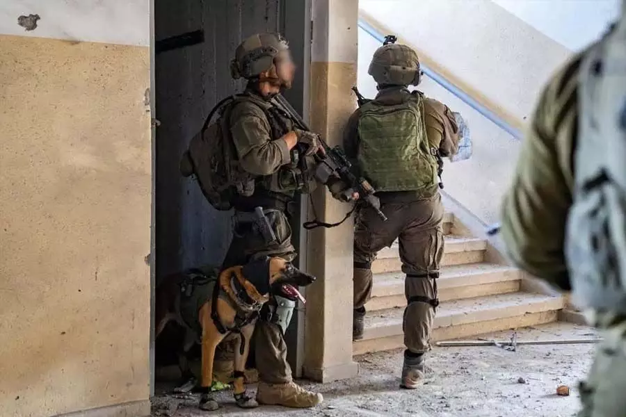 Israel की सेना ने राफा में हमास की आधी सेना को हराया: IDF