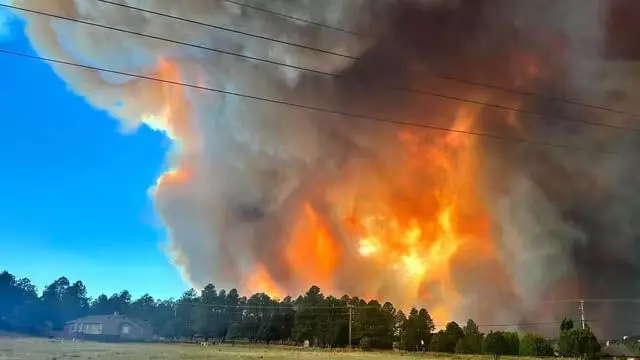 world : न्यू मैक्सिको में दो जंगली आग ने हजारों एकड़ जमीन को तबाह कर दिया,