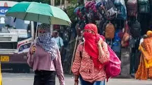Punjab News: पंजाब में अधिकतम तापमान 45.4 डिग्री तक पंहुचा