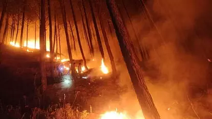 Rishikesh: जंगल में लगी आग पहुंची फैक्ट्री गोदाम तक