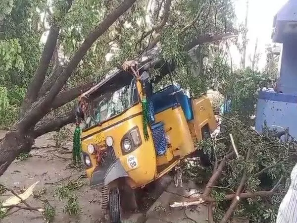 Andhra के श्रीकाकुलम में तेज हवाओं के साथ भारी बारिश से कई पेड़ उखड़ गए