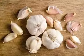 Garlic Benefits: डेली लहसुन की एक कली खाने से बीमारियों से दूर रहे सकते हो