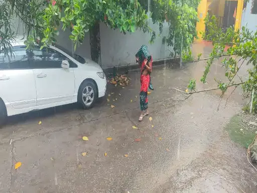 Bilaspur Rain: जिले में हुई झमाझम बारिश