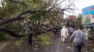 Punjab: आंधी के चलते लोहे का भारी भरकम गेट व्यक्ति ऊपर गिरा , दर्दनाक मौत