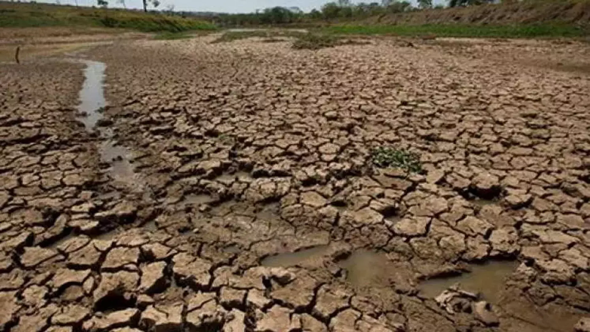 Andhra: सूखे का आकलन करने के लिए अंतर-मंत्रालयी टीम ने कुरनूल का दौरा किया