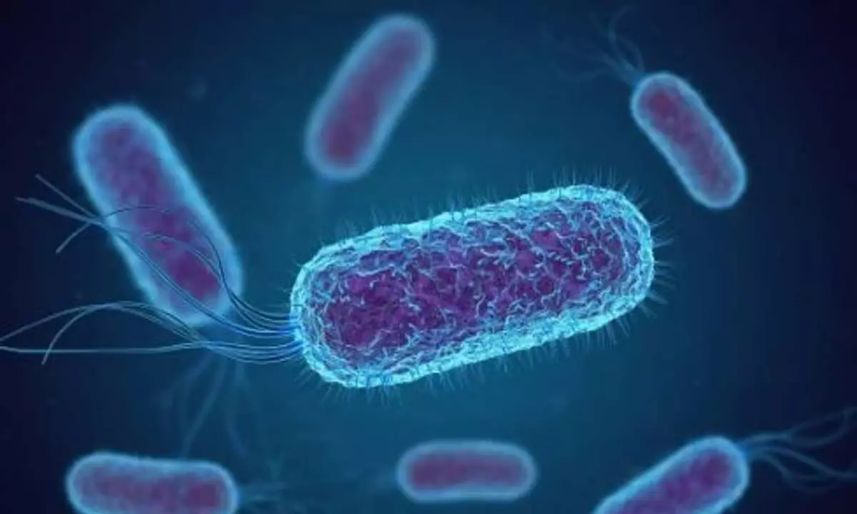 Kerala News: डीएलएफ फ्लैटों के पानी के नमूनों में कोलीफॉर्म बैक्टीरिया की पुष्टि हुई
