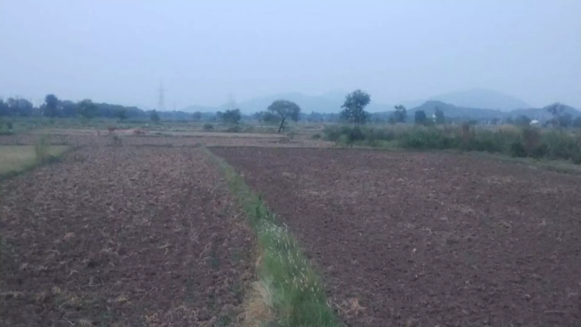 Odisha News: मानसून में देरी से नयागढ़ के किसान चिंतित