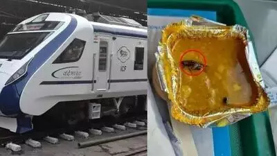 Jhansi  : वंदे भारत एक्सप्रेस में यात्री के भोजन में कॉकरोच, शिकायत के बाद आईआरसीटीसी ने मांगी माफी